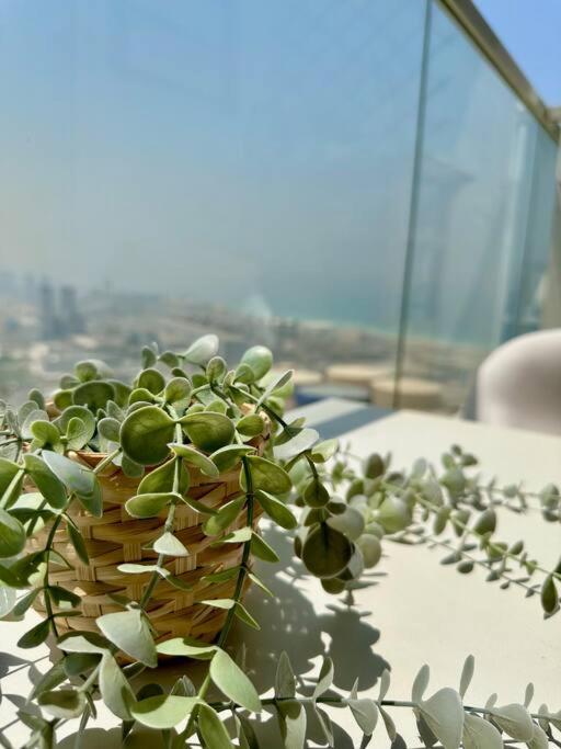 Lujo Marina Dubai